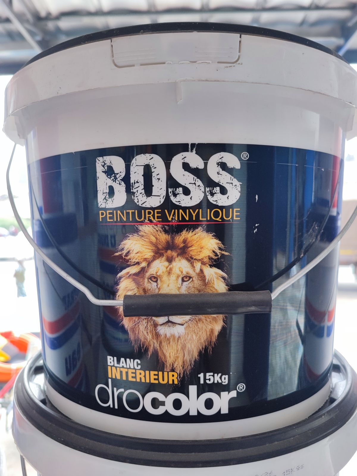 Peinture Boss 15kg